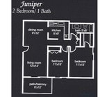 Juniper
