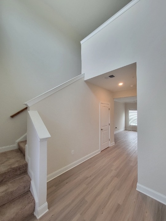 Photo - 10054 Roulette Dr