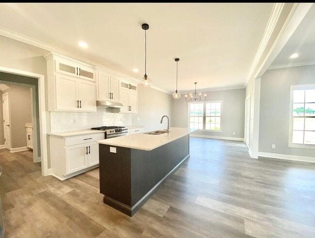 Photo - 4 Bed 2 bath with 3 car attached garage