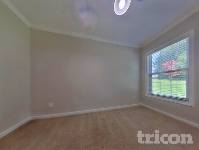 7302 Silver Mine Ct