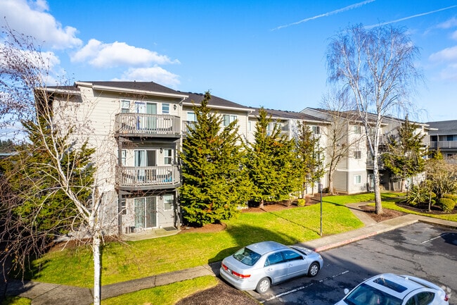 Photo - Portola Bridge Creek