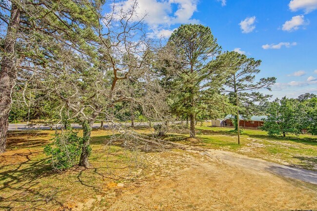 Photo - 1 Bedroom Affordable Nest Unit C