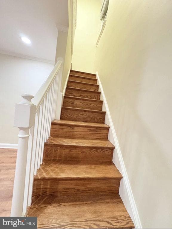 Photo - 1800 Cody Dr