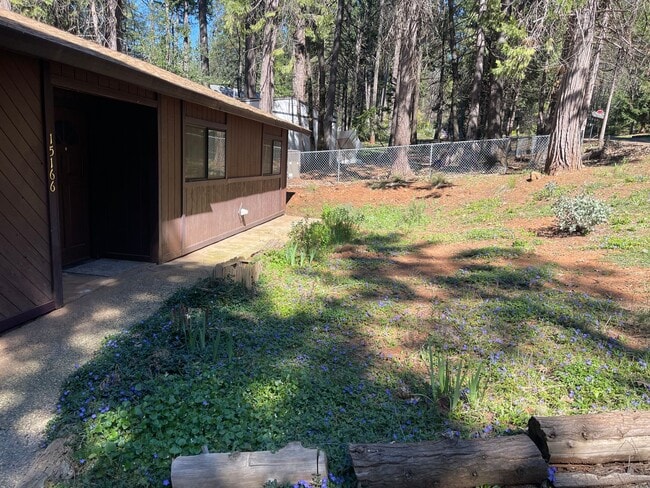 Photo - Live Amongst the Pines in Magalia