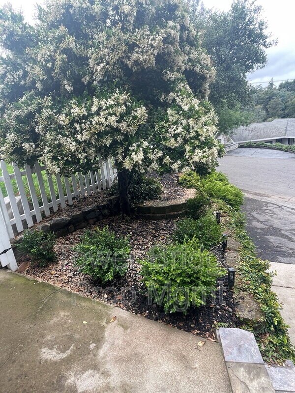 Photo - 737 Cresta Ct