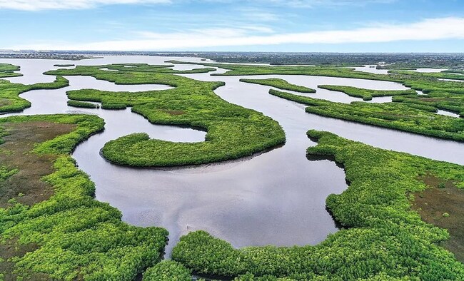 Photo - 8205 Grand Estuary Trail