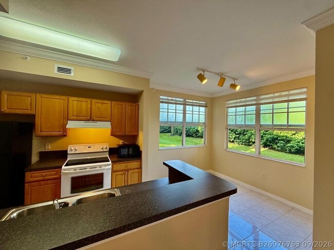 15045 Michelangelo Blvd Unit 102