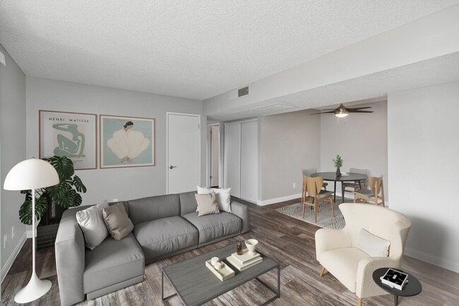 Photo - Accent on Rainbow