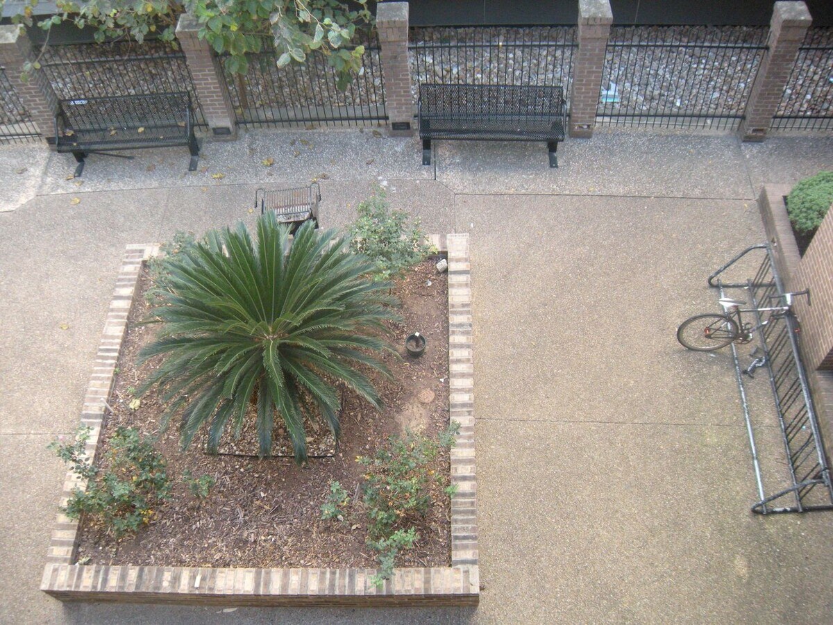 Photo - K632 - Twelve Oaks #304 Unit 304