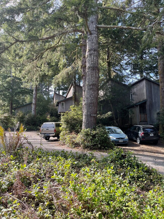 Photo - House in the Trees