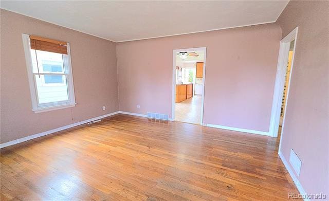 Photo - 916 Custer Ave