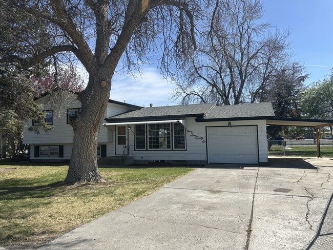 Building Photo - 3326 Winchell Ln