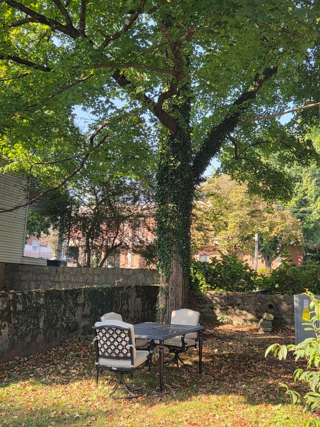 Lovely sitting area in garden. - 403 W Flower St Unit A