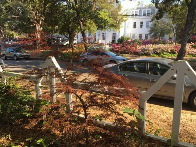 Photo - 103 Colleton Ave SW