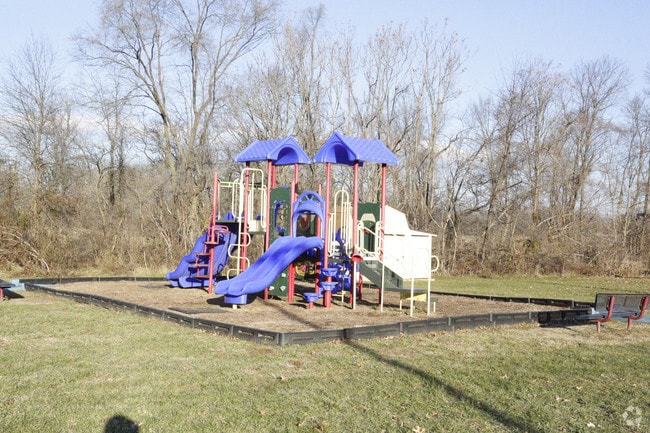 Play Area
