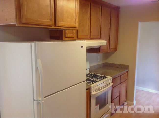 Photo - 205 Elwood St