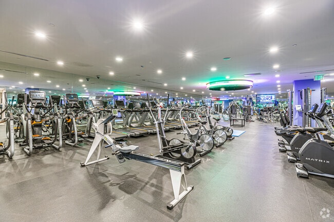 Fitness