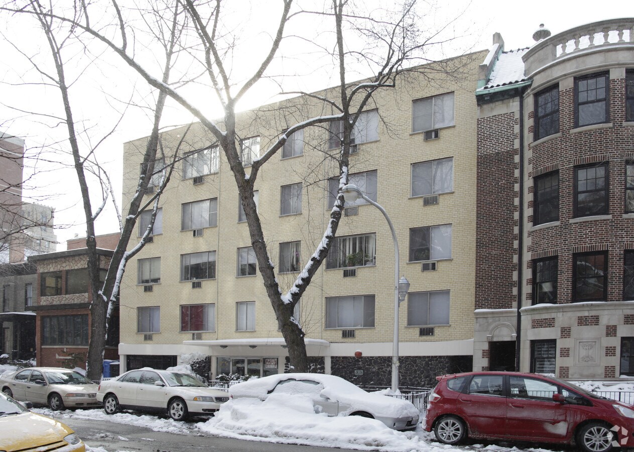 The Briar - The Briar