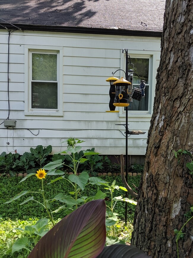 Photo - 821 Stanley St