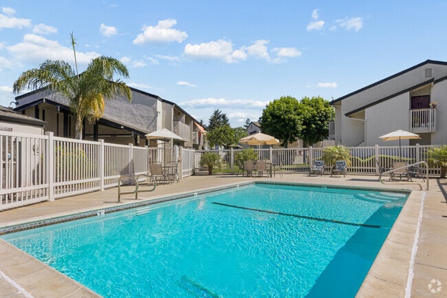 Pool - The Pines Apartments
