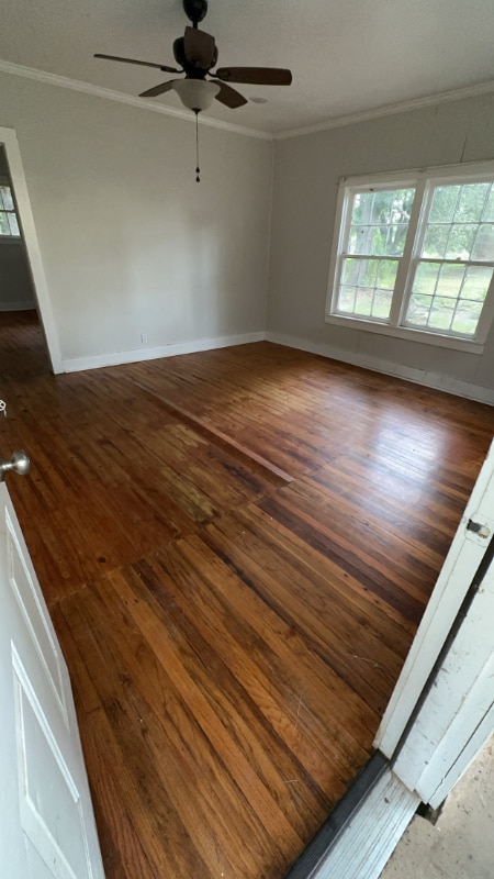 Photo - 664 Black Walnut Rd