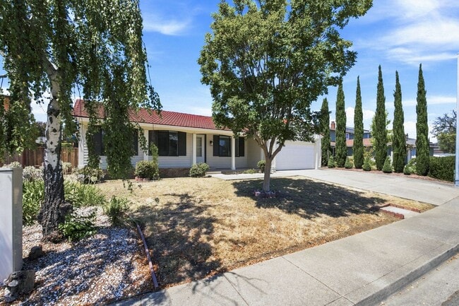 Photo - 800 Locust Dr