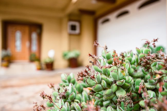 Photo - 1805 Speyer Ln