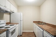 2BR, 1BA - 1000SF - Kitchen