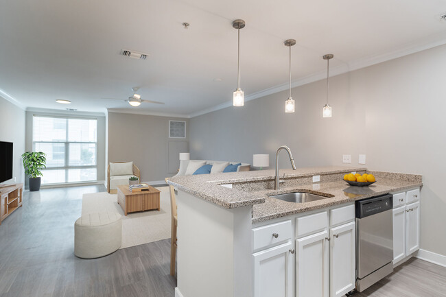 Building Photo - Attain Downtown East Rental