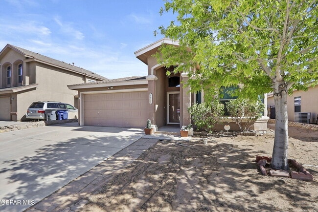 Photo - 14438 Miguel Terrazas Dr