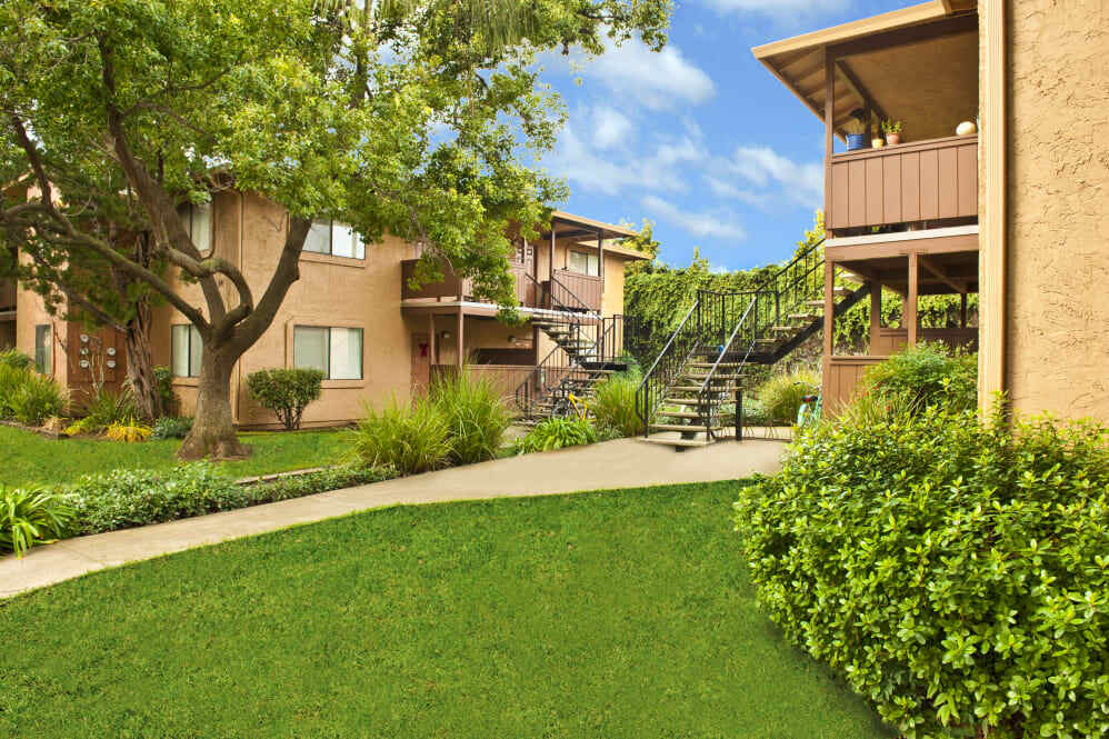 Pine Tree Apartments For Rent In Chico Ca Forrent Com
