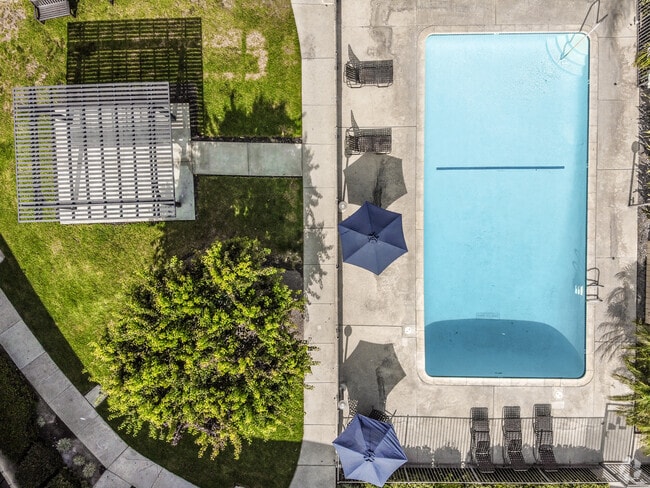 Piscina y patio - Citrus Park Apartments