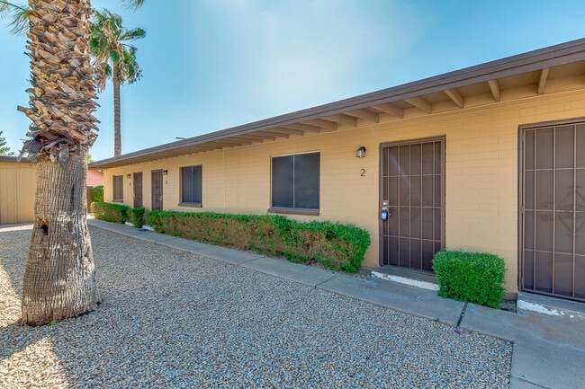 Photo - Desert Sunshine 2