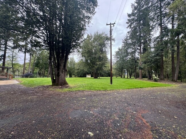 Photo - River Front Property