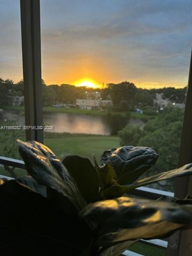 Building Photo - 1811 Sabal Palm Dr Unit 1811 Sabal Palm Dr # 406