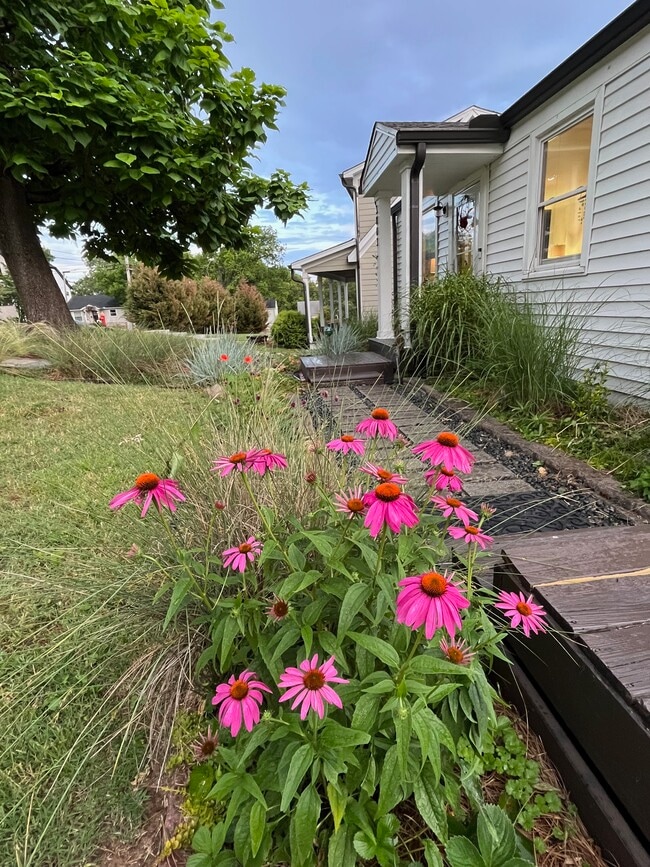 Photo - 3803 Lookout Dr