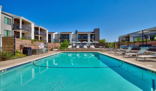 Take a rejuvenating dip in the saltwater pool - 707 Leahy Apartments