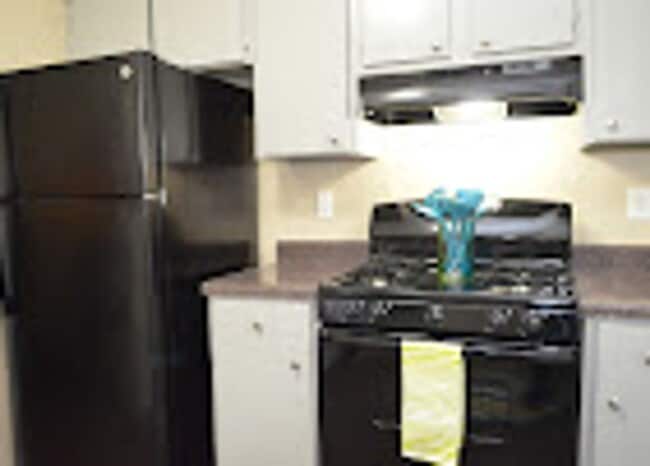 Photo - Graceland Flats – Modern Living in the Heart of Whitehaven