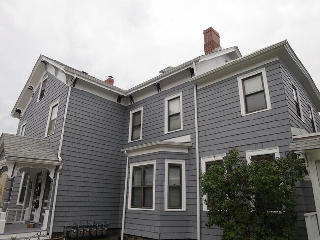 Photo - 564 Putnam Ave Apartments Unit 1R