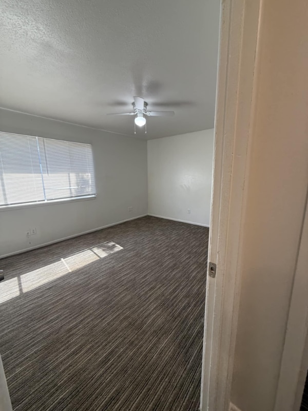 Building Photo - 1303 65th Dr Rental
