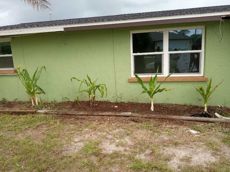 Photo - 8271 Pelican Rd