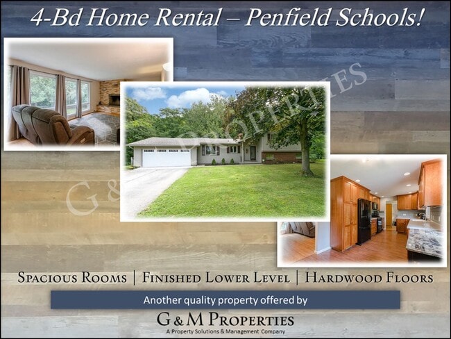 Building Photo - 4-Bedroom Single-Family Home Rental - Penf...