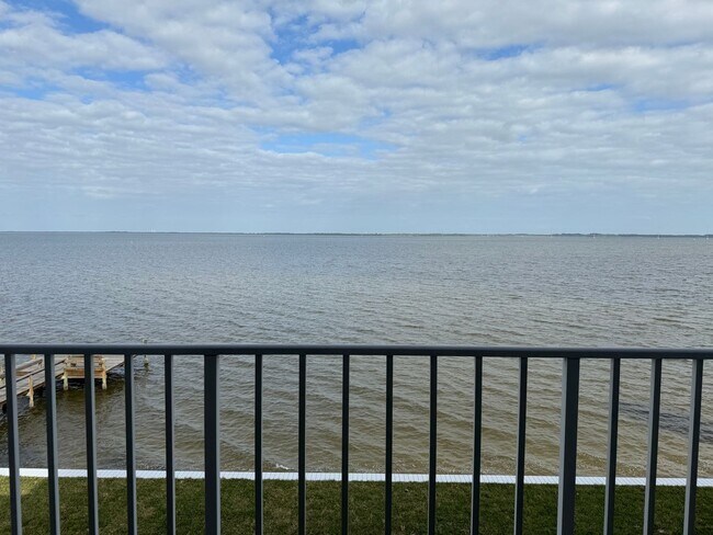 Directly on the River, what a view!! - Directly on the River, what a view!! House