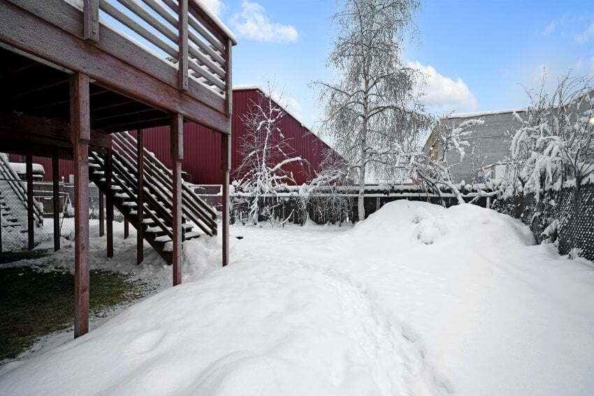 back yard - 1580 Market St