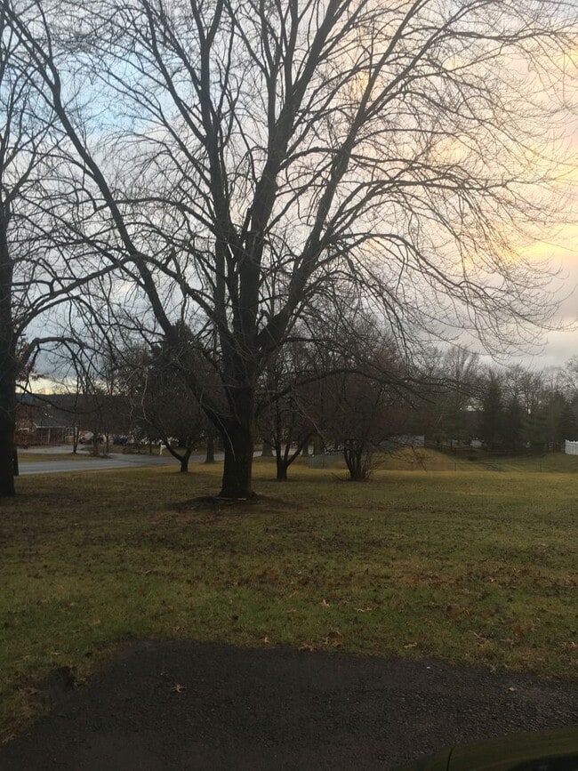 Photo - 2929 N Whitehall Rd