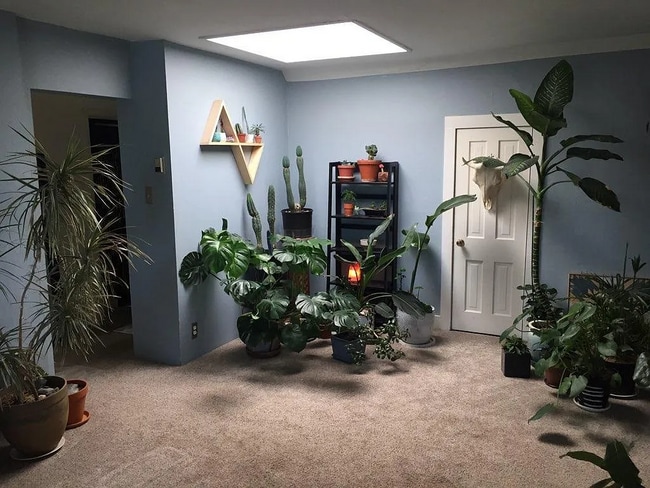 Building Photo - 925 Grandview Ave Unit # 2