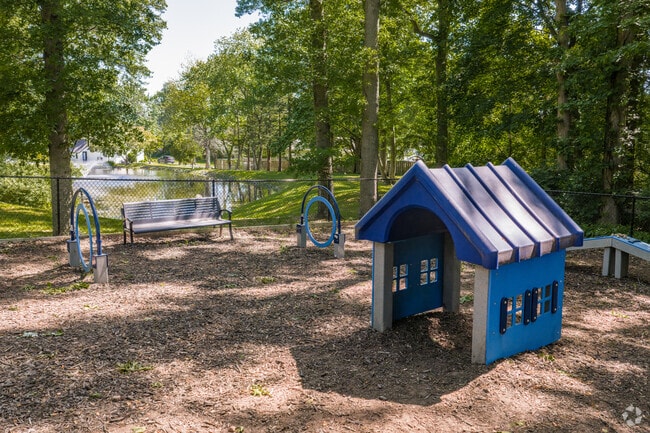 Dog Park