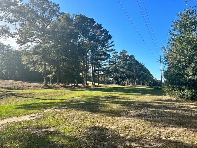 Large backyard on golf course and walking trail - 113 Penny Ln