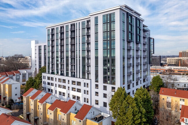 The Campbell - The Campbell