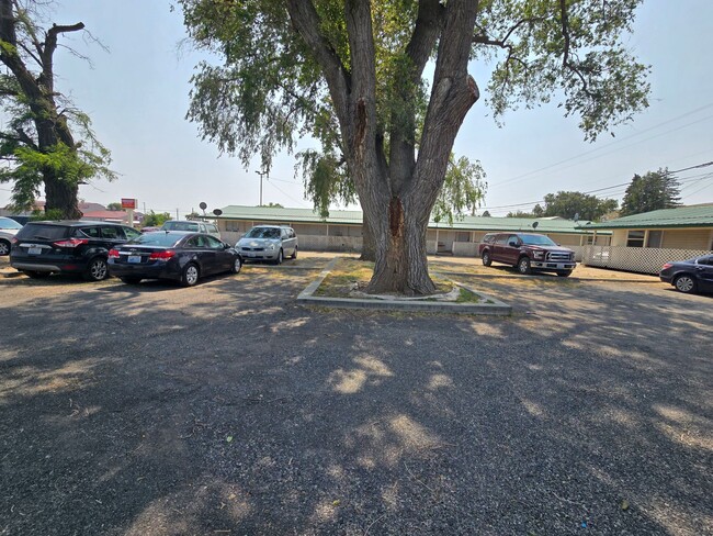 Photo - Fully Remolded 2 Bedroom Apartment Move-in... Unit 7